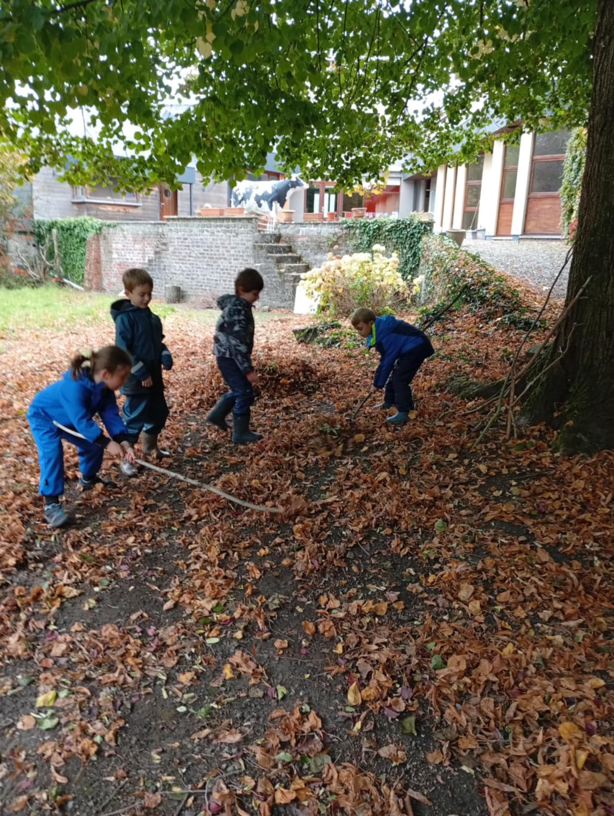 Recrutement enseignant primaire Montessori 6-12 ans